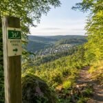 wandern-im-wispertal